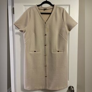 Ann Taylor Cream Textured Dress